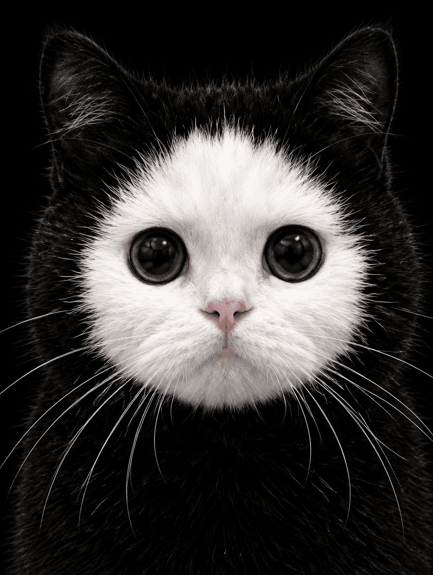 Official headshot.